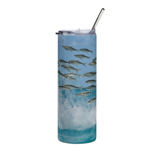 Barbados - Land of the Flying Fish Stainless steel tumbler Unique Drinkware Dreams