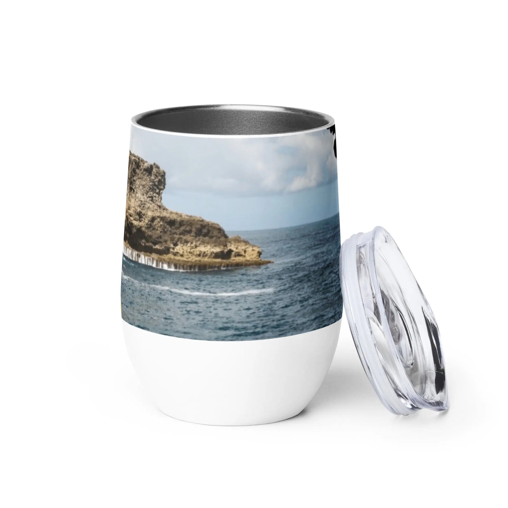 Barbados Souvenir - Animal Flower Cave Wine tumbler Unique Drinkware Dreams