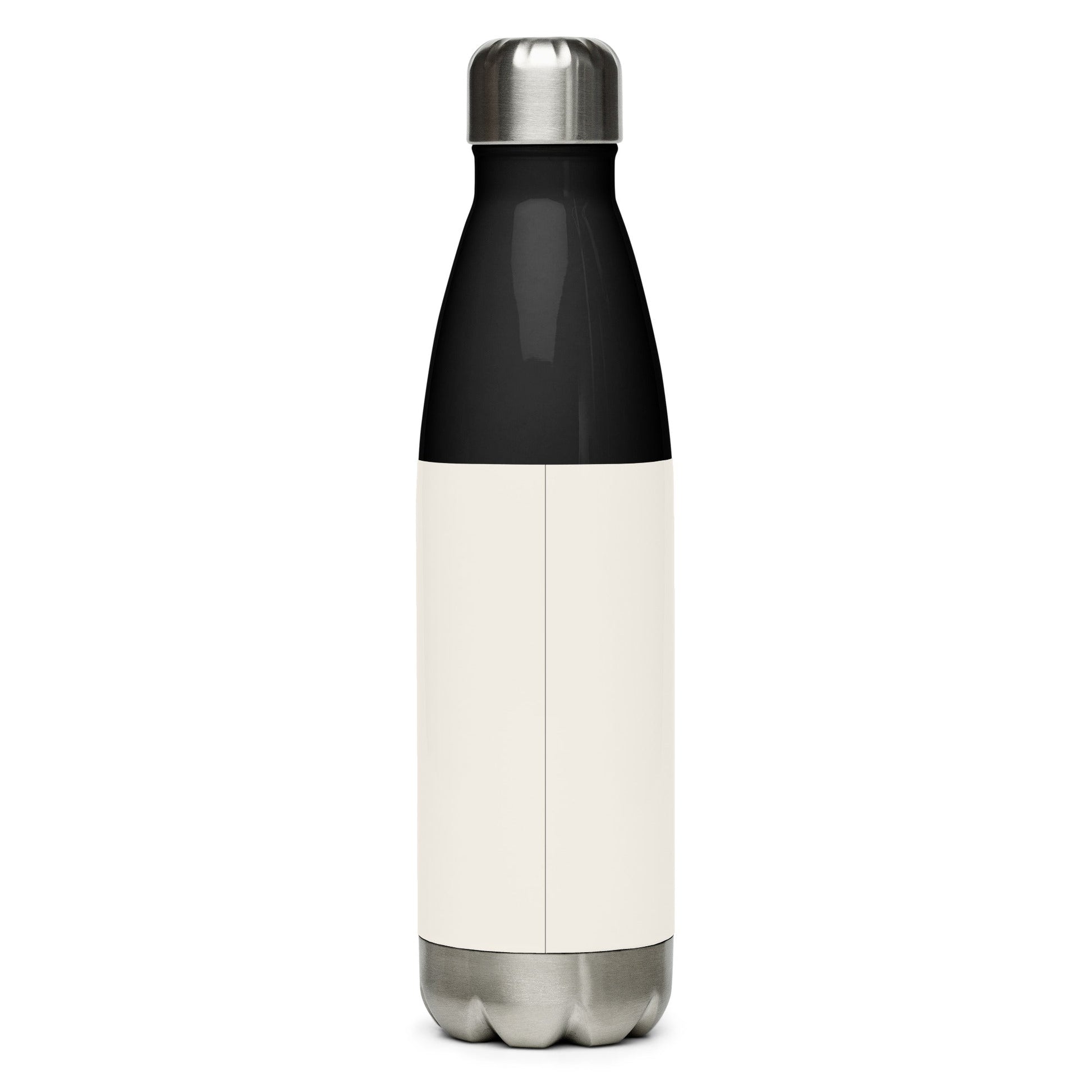 Inspirational 'Believe in You'Stainless steel water bottle Unique Drinkware Dreams