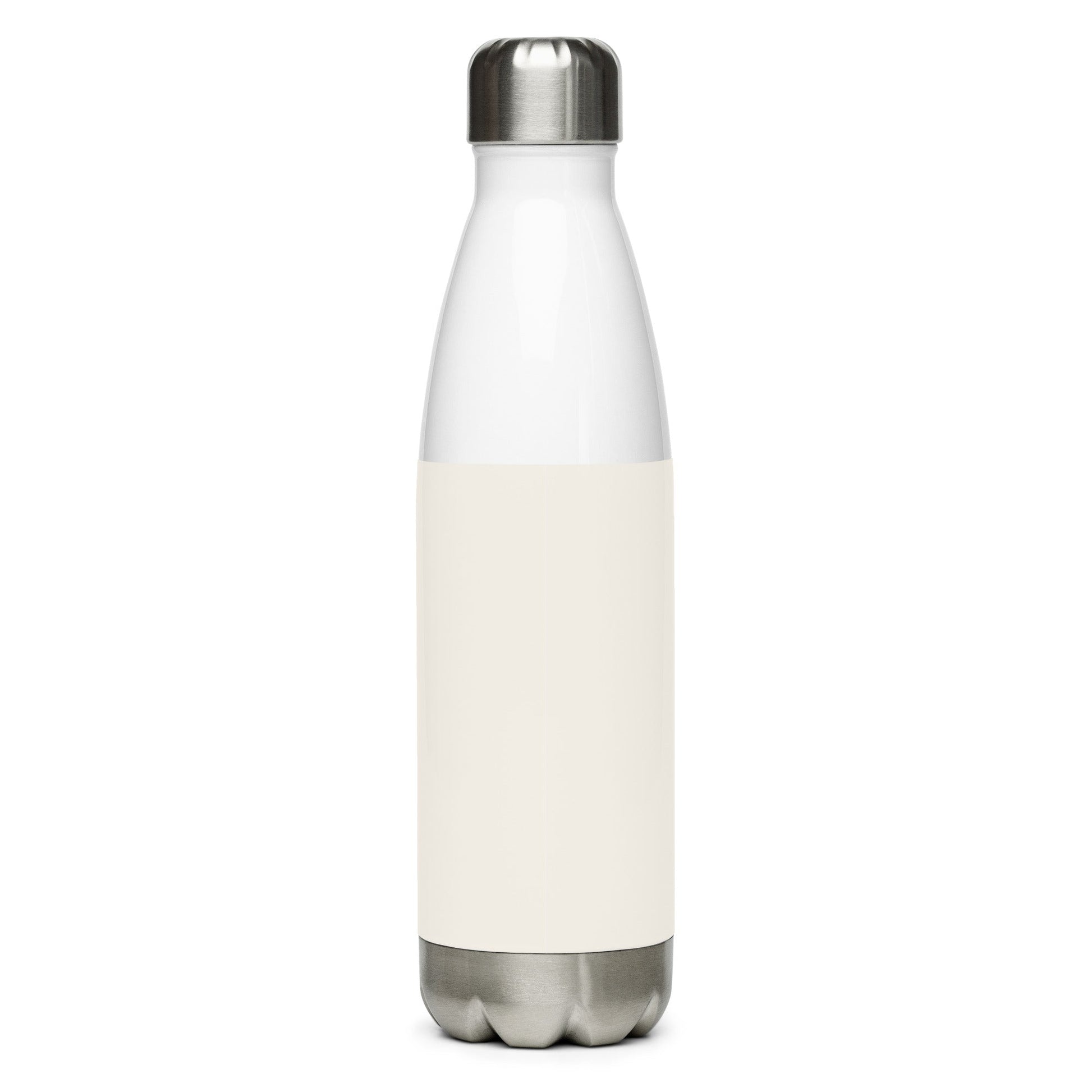 Inspirational 'Believe in You'Stainless steel water bottle Unique Drinkware Dreams